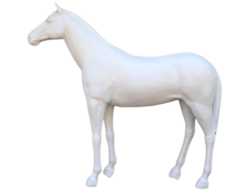 Life Size White Horse
