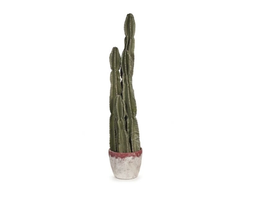 Four Headed Cactus - 1.4m