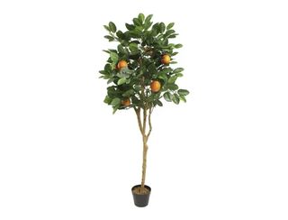 Orange Tree