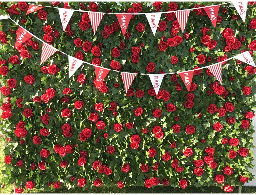Red Rose Ivy Wall