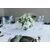 Gold Frame Glass Candle Box - XL (30cm)