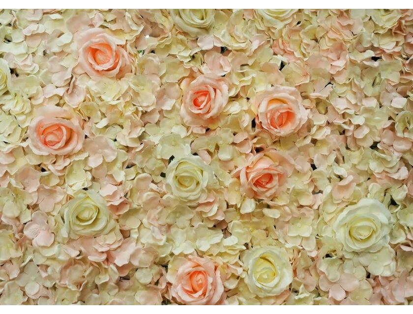 French Rose Flower Wall