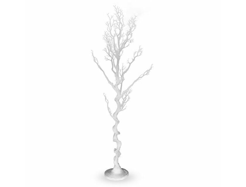 White Manzanita Tree