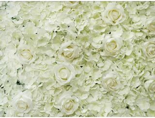 White Rose Flower Wall -