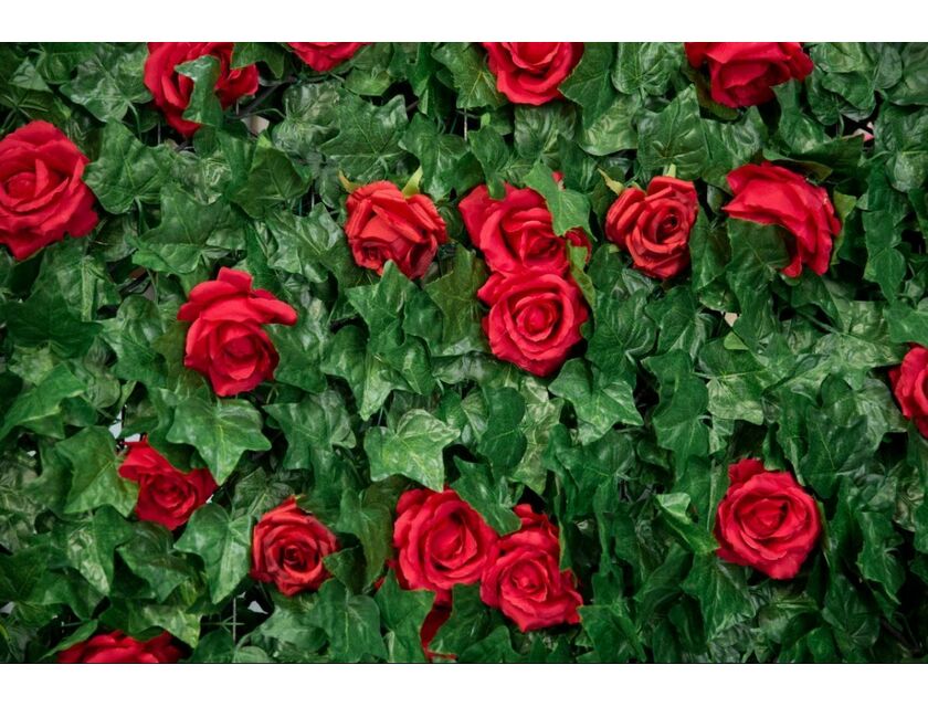 Red Rose Ivy Wall -