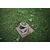 Quoits