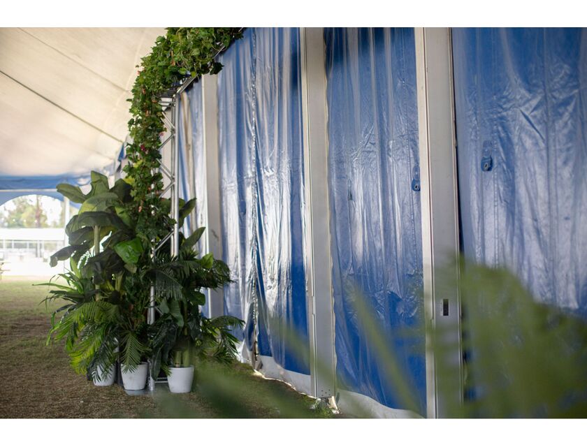 Jungle Plants - Pack of 5