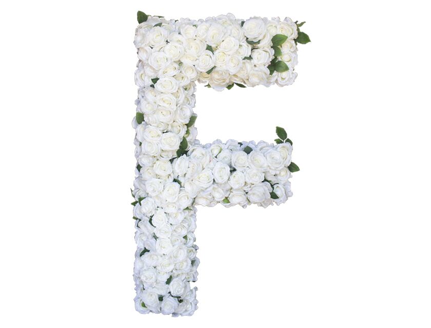 Floral Characters - White