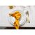 Mustard Napkin