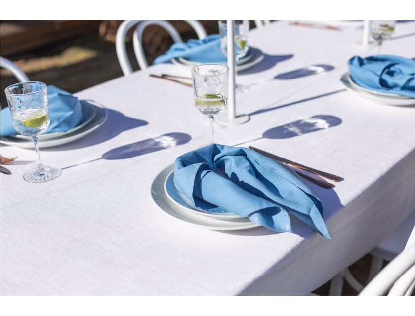 Wedgewood Blue Napkin