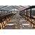 Black Frame / Clear Roof - 10m x 27m