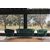 Marianna Velvet Arm Chair - Green