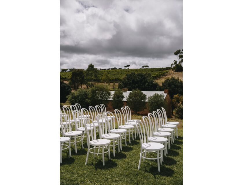 Bentwood Chair - White