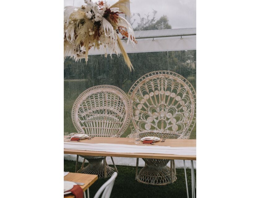 Peacock Chair - Natural