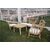 Cane Arm Chair