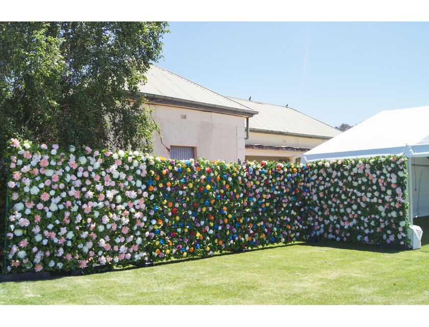 Aurora Wall