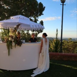 Bespoke Curve Bar Olympic Party Hire Adelaide 2