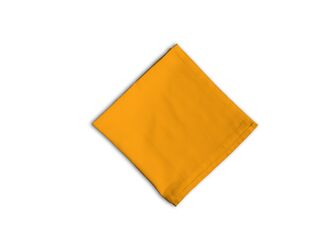 Mustard Napkin