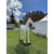 ARTAX - Life Size White Horse
