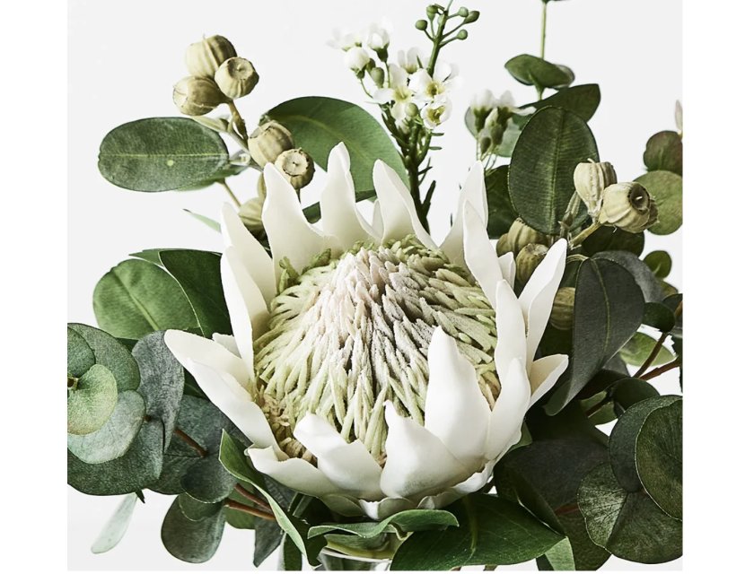 Protea King Mix - White - 30cm