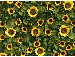 Sunflower Wall