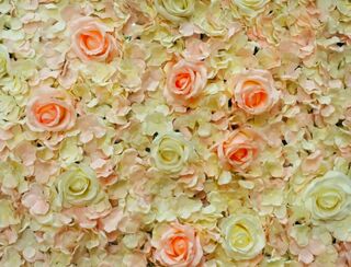 French Rose Flower Wall