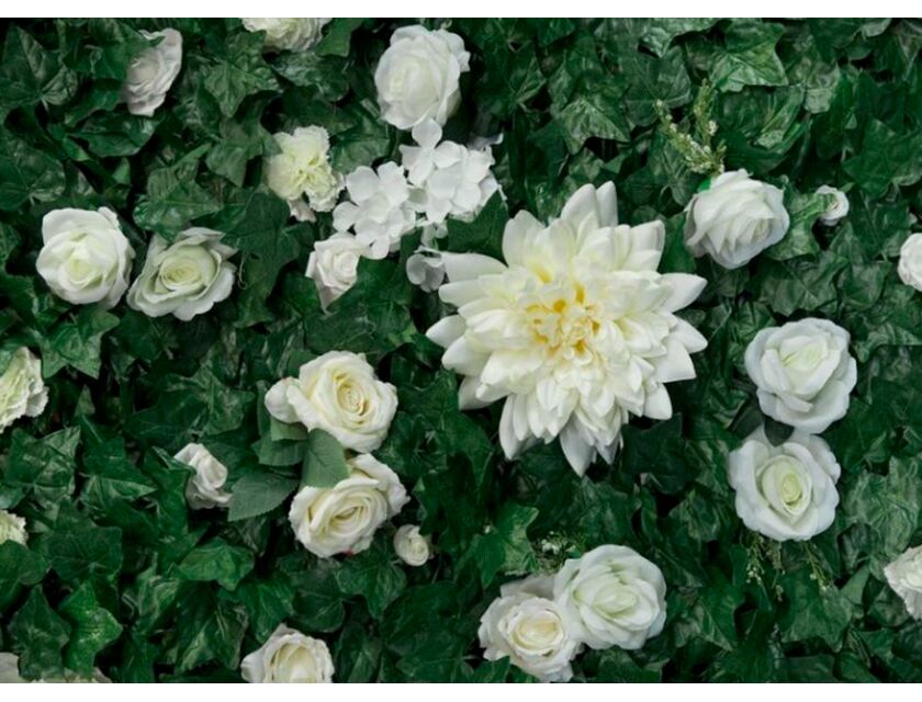 White Ivy Flower Wall -