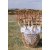 Bentwood No.18 Thonet - Natural