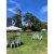 Bistro Chair - White