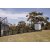 Black Slat Fence - 2m
