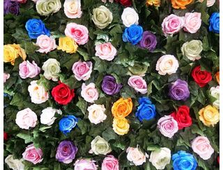Colour Burst Flower Wall