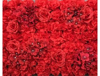 Red Rose Flower Wall