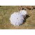 Parasol Lace Umbrella