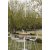 Freida Bar Tables - Natural