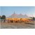 9.7m x 21.2m The Manor - Pole Marquee