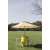 Striped Umbrella - Yellow