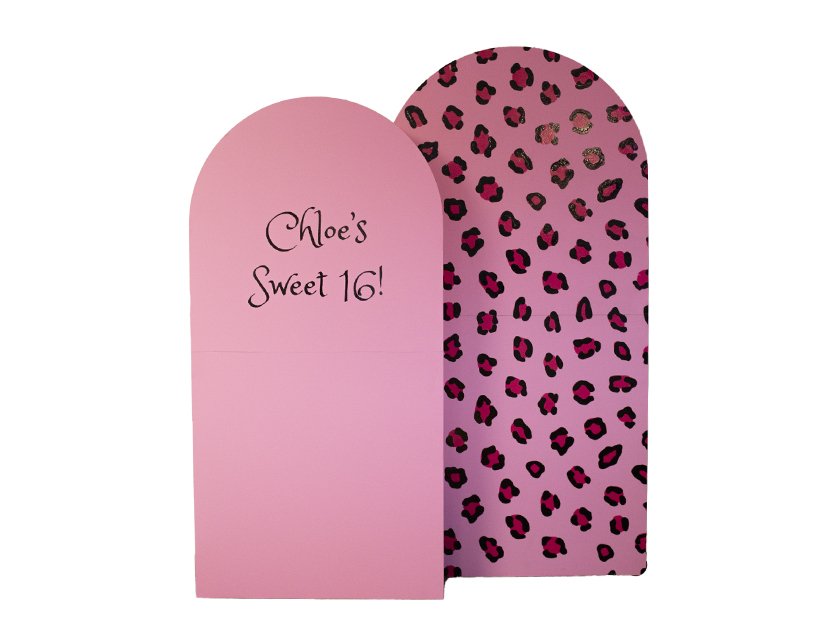 Full Arch Backdrop Pair - Pink