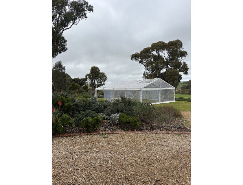 8m Clear Roof Pavilion - 8m x 3m