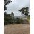 8m Clear Roof Pavilion - 8m x 3m