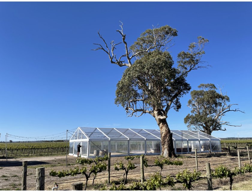 10m Clear Roof Pavilion - 10m x 3m