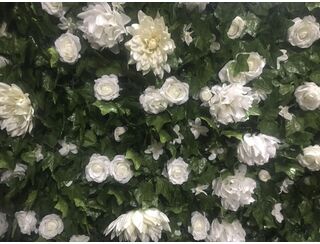 White Rose Ivy Wall