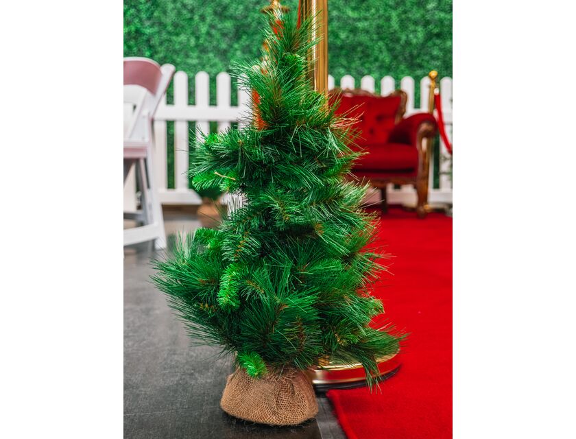 Small Pine Christmas Tree
