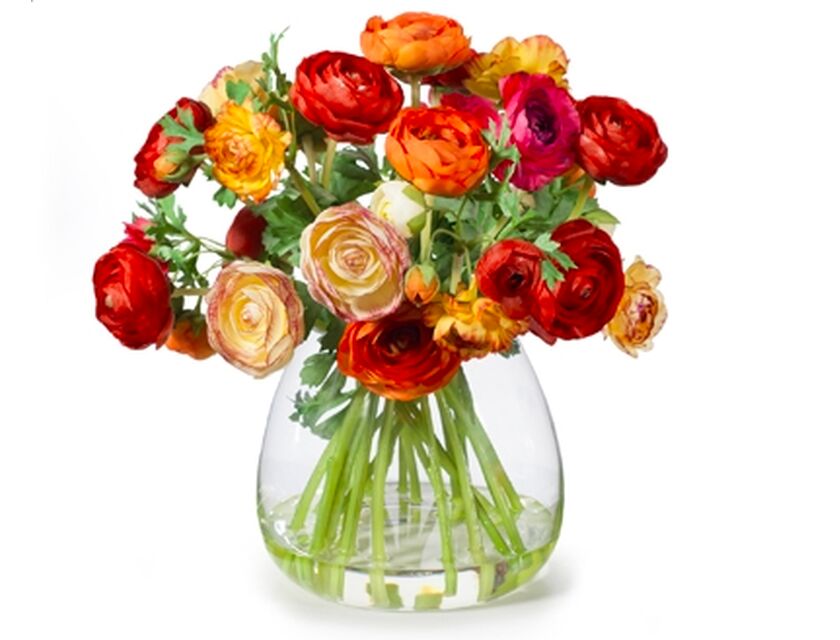 Ranunculus Mix - Red & Orange - 36cm