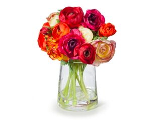 Ranunculus Mix - Red & Orange - 24cm