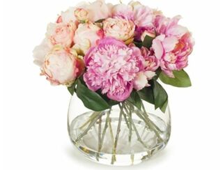 Peony Pink Mix - 26-32cm