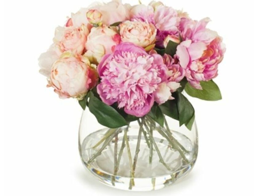 Peony Pink Mix - 26-32cm