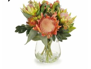 Protea King Leuca - 46cm