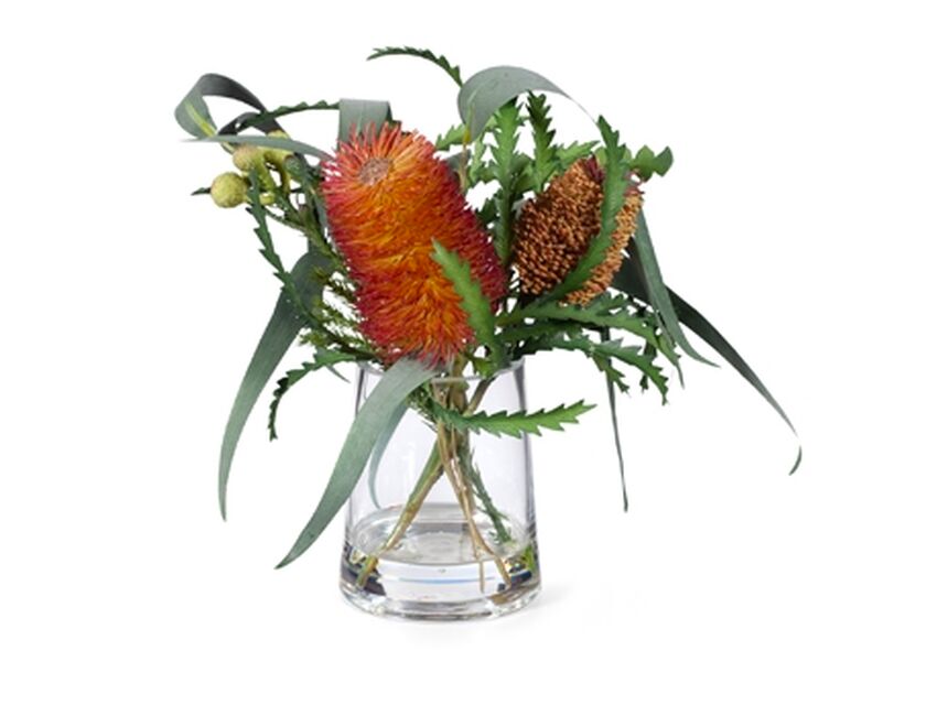 Banksia Mix - 30cm