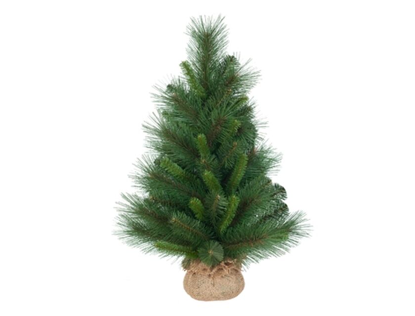 Small Pine Christmas Tree