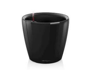 Black Gloss Pot